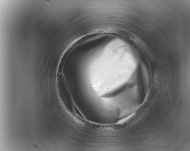 X0000063500784200602032016