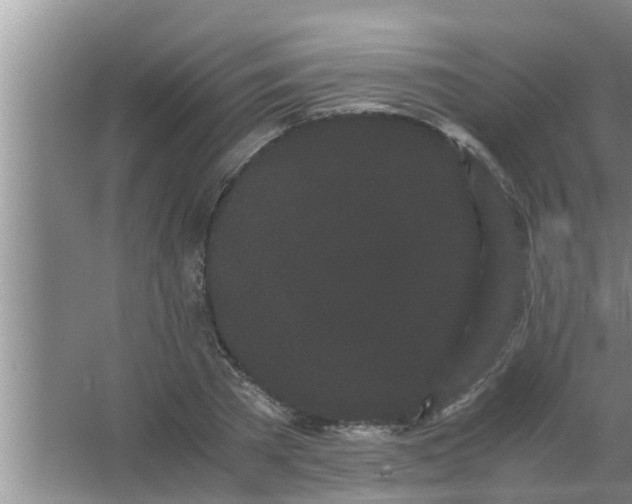 X0000063500785200602032016