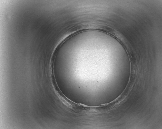 X0000063500787200602032016