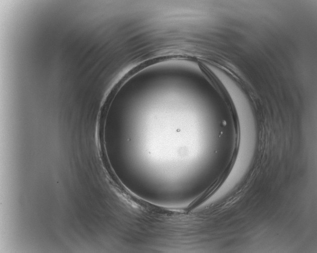 X0000063500788200602032016