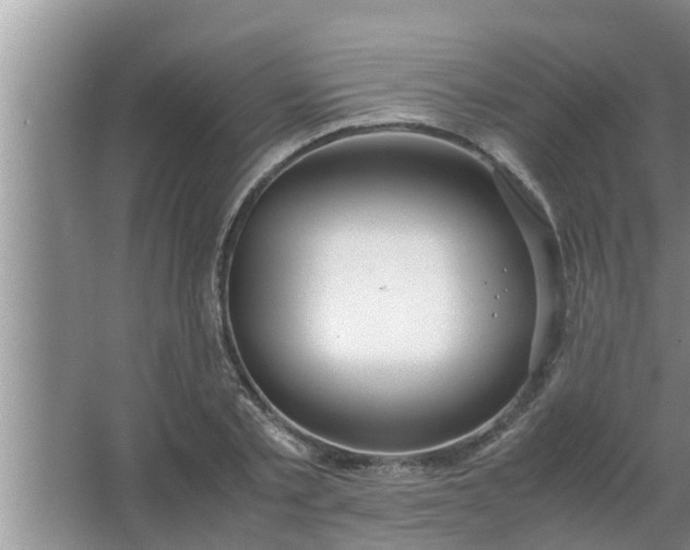 X0000063500789200602032016