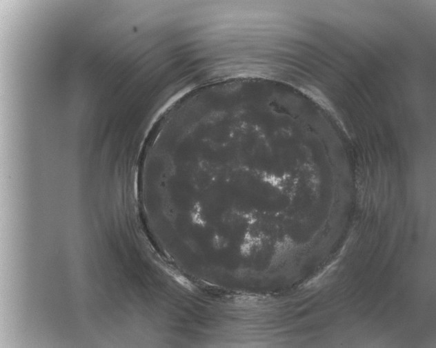 X0000063500790200602032016