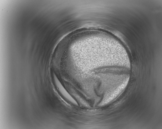 X0000063500791200602032016