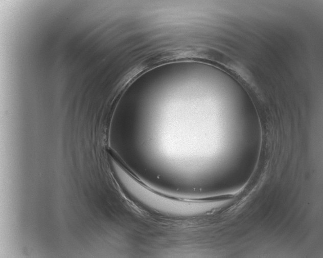 X0000063500793200602032016