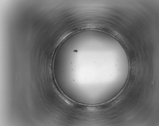 X0000063500794200602032016