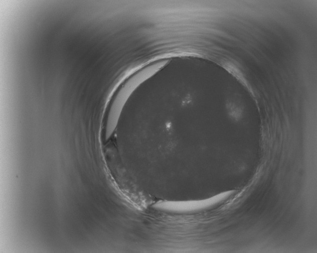 X0000063500797200602032016