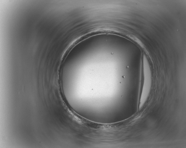 X0000063500799200602032016