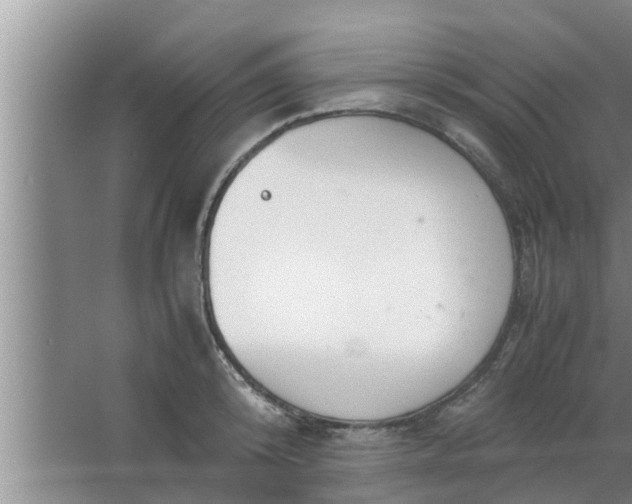 X0000063500800200602032016