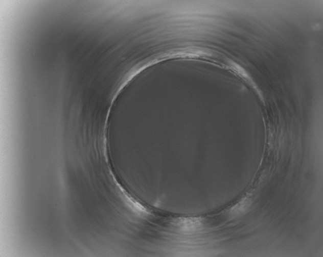 X0000063500802200602032016