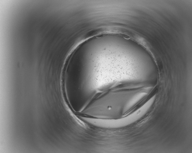 X0000063500803200602032016