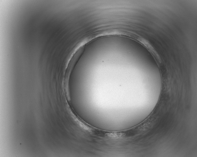 X0000063500805200602032016