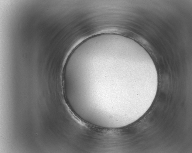 X0000063500808200602032016