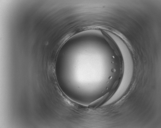 X0000063500809200602032016