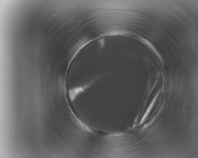 X0000063500810200602032016