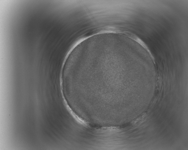 X0000063500811200602032016