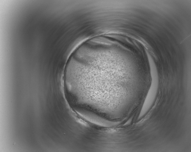 X0000063500814200602032016