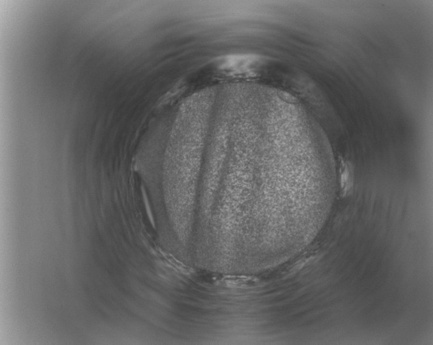 X0000063500819200602032015