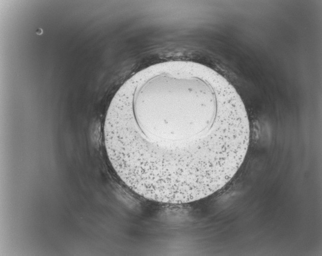 X0000063500820200602032015