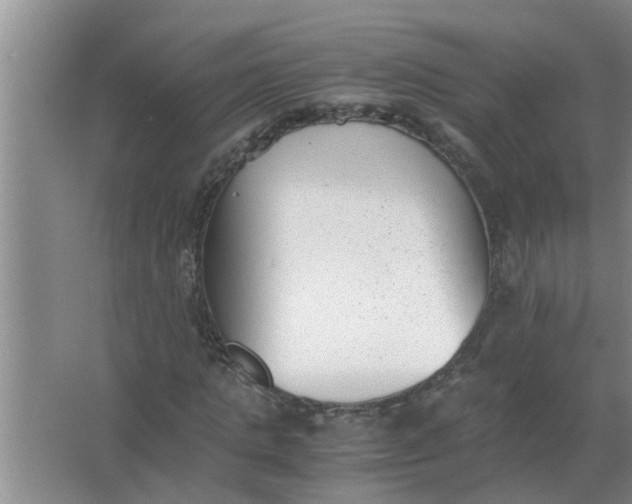 X0000063500821200602032015