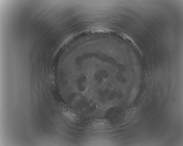 X0000063500823200602032015