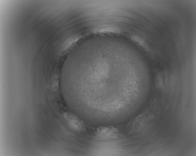 X0000063500824200602032015