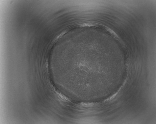 X0000063500825200602032015