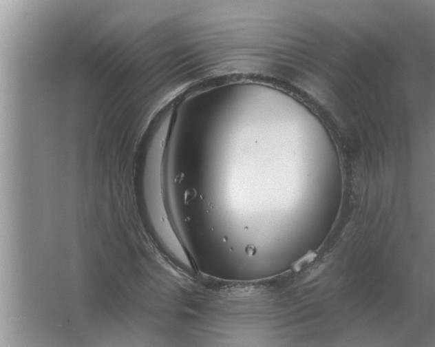 X0000063500826200602032015