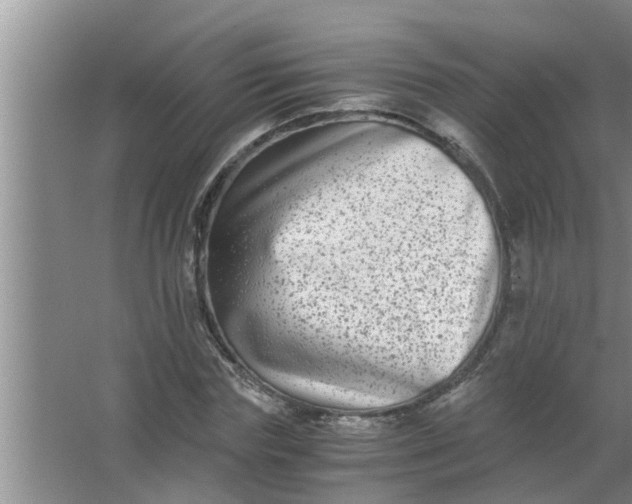 X0000063500827200602032015