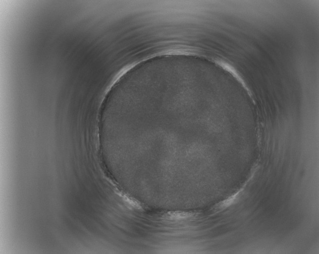 X0000063500829200602032015