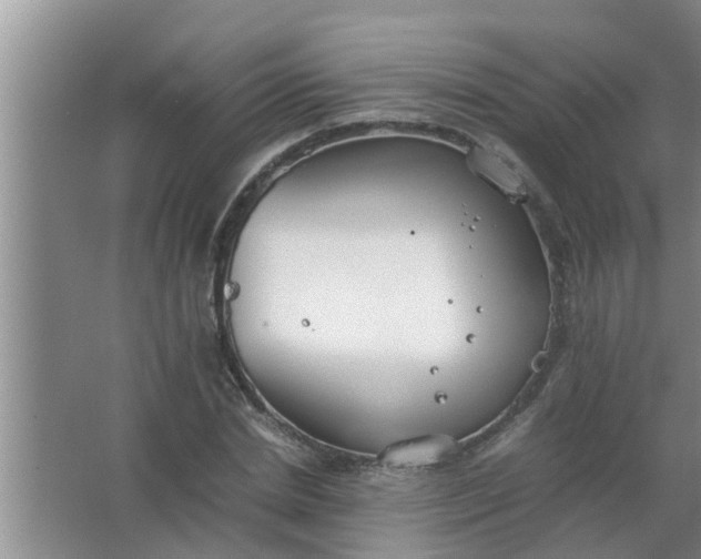 X0000063500830200602032015