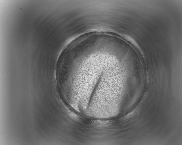 X0000063500831200602032015