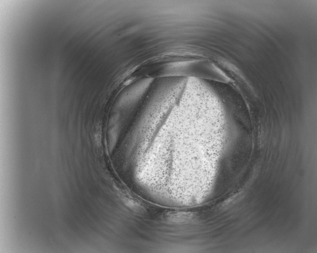 X0000063500833200602032015