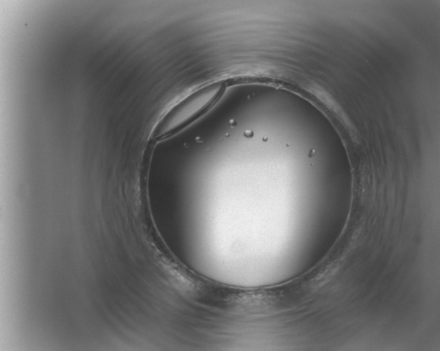 X0000063500834200602032015