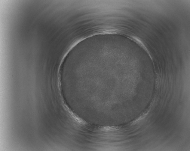 X0000063500835200602032015