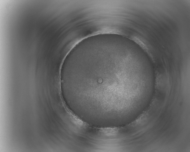 X0000063500836200602032015