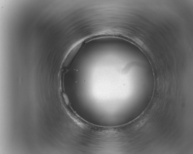 X0000063500838200602032015