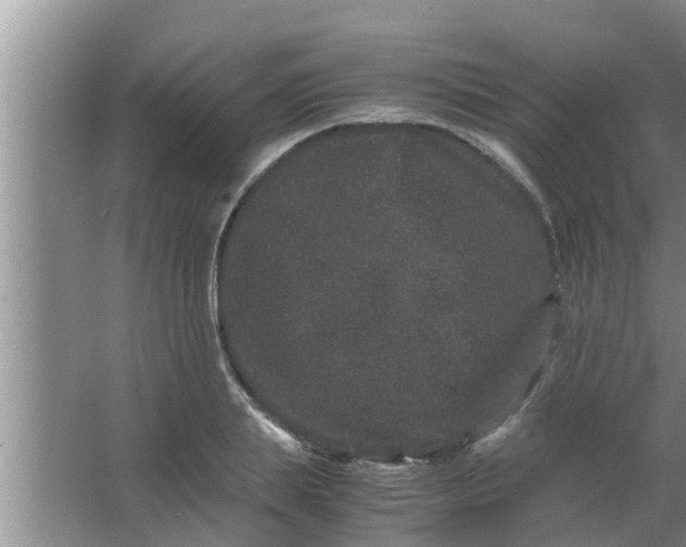 X0000063500839200602032015