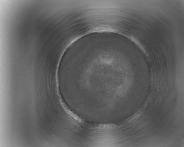 X0000063500840200602032015