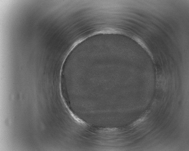 X0000063500845200602032015