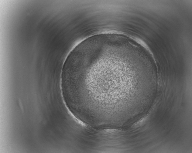 X0000063500847200602032015