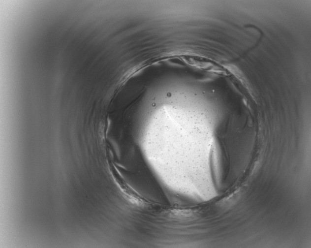 X0000063500849200602032015