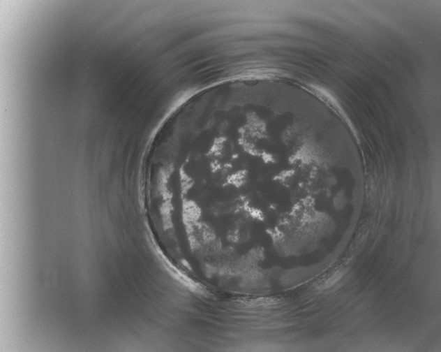 X0000063500851200602032015