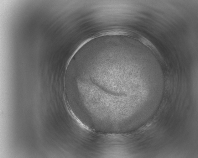 X0000063500852200602032015