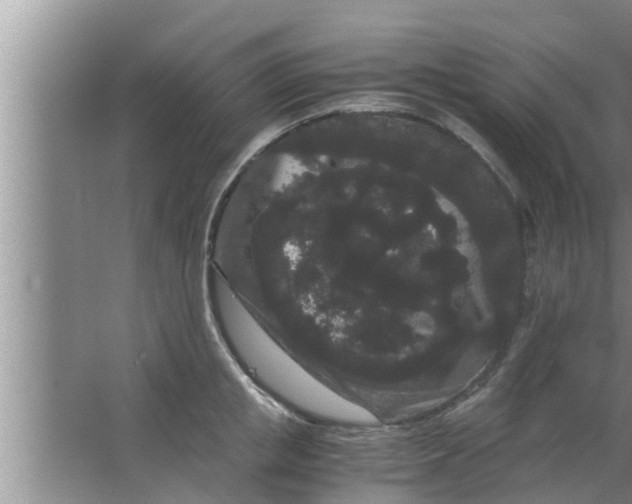 X0000063500853200602032015