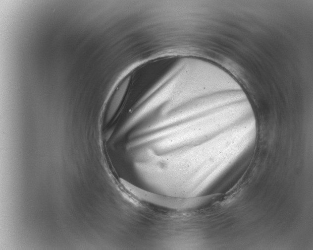 X0000063500854200602032015