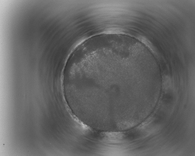 X0000063500856200602032015