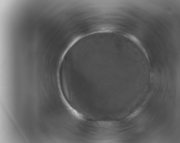 X0000063500859200602032016