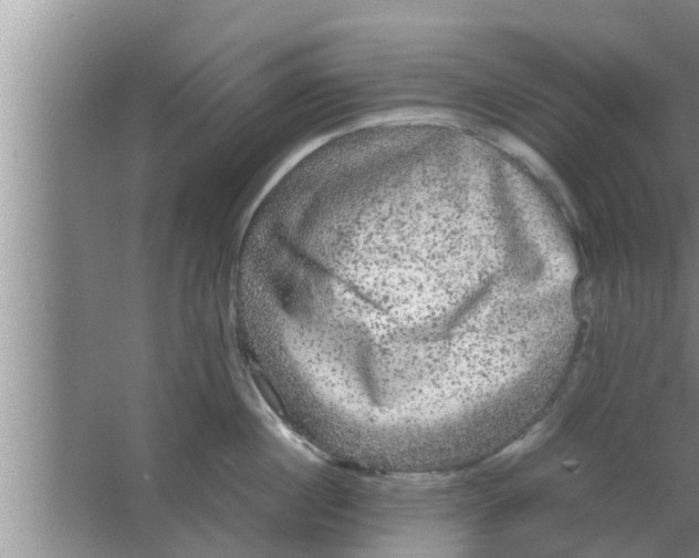 X0000063500860200602032016