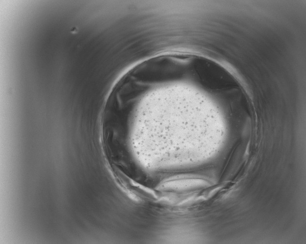 X0000063500862200602032016