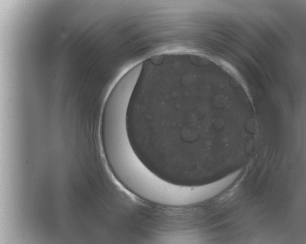 X0000063500863200602032016